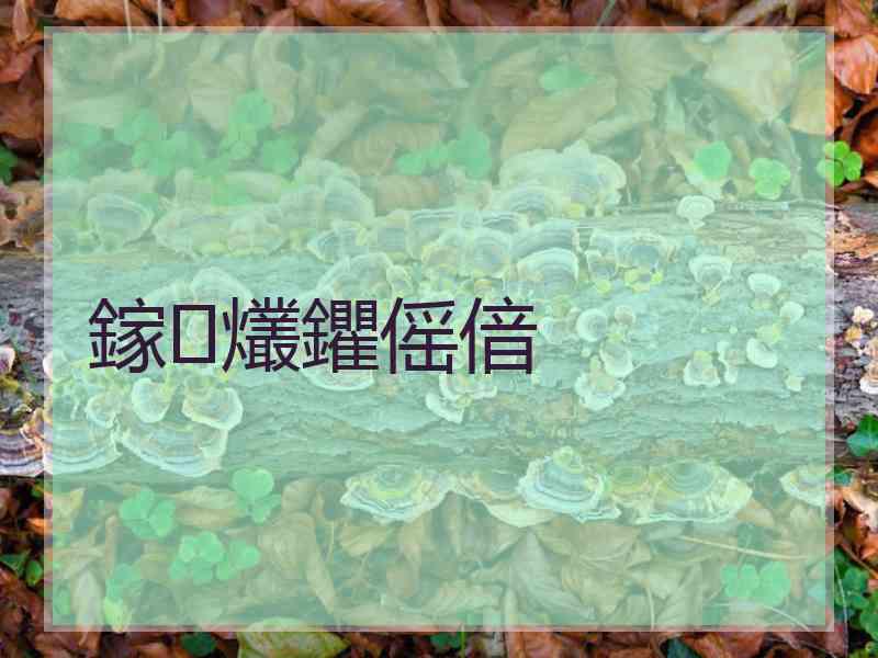 鎵爜鑺傜偣