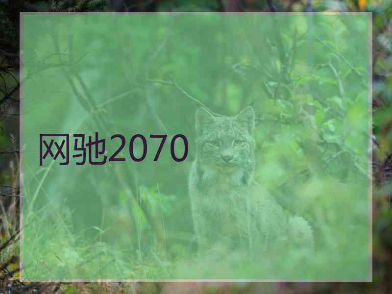 网驰2070