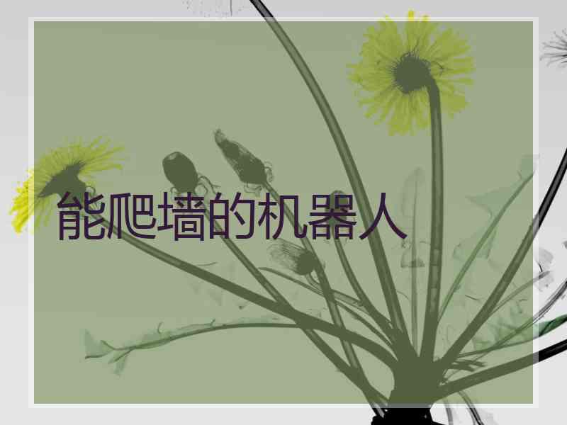 能爬墙的机器人