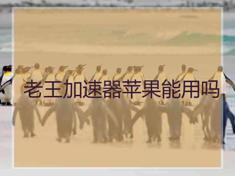 老王加速器苹果能用吗