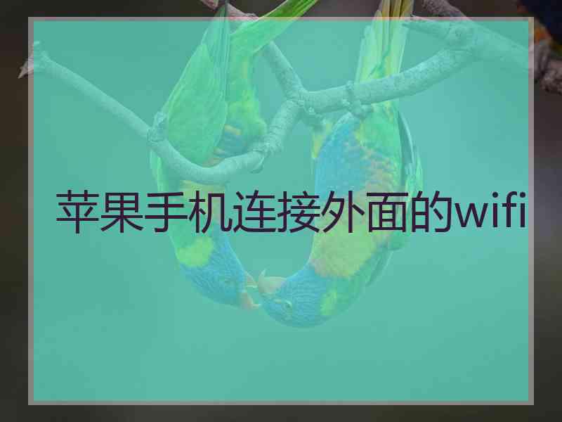 苹果手机连接外面的wifi
