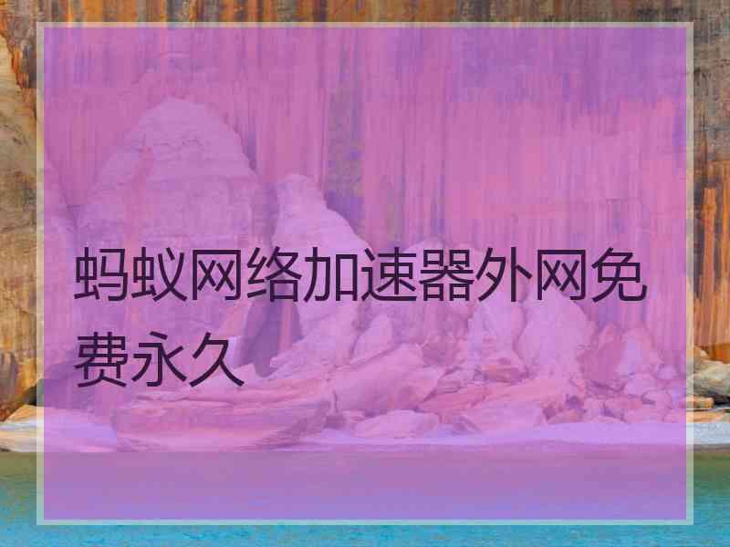 蚂蚁网络加速器外网免费永久
