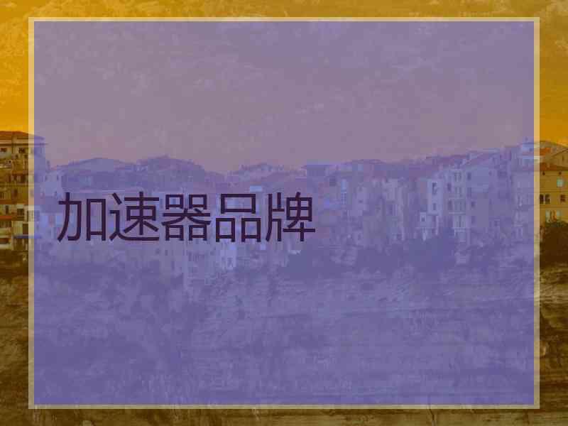 加速器品牌