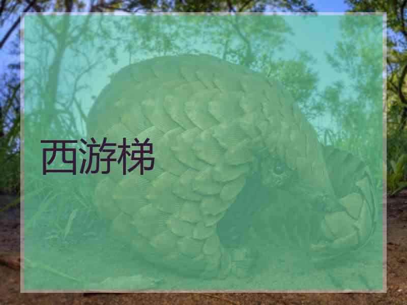 西游梯