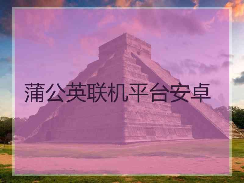 蒲公英联机平台安卓