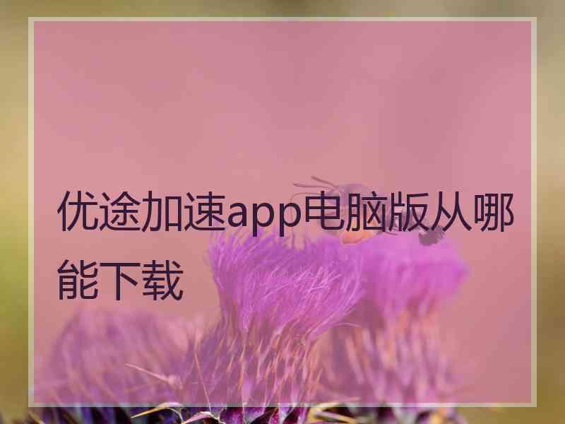 优途加速app电脑版从哪能下载