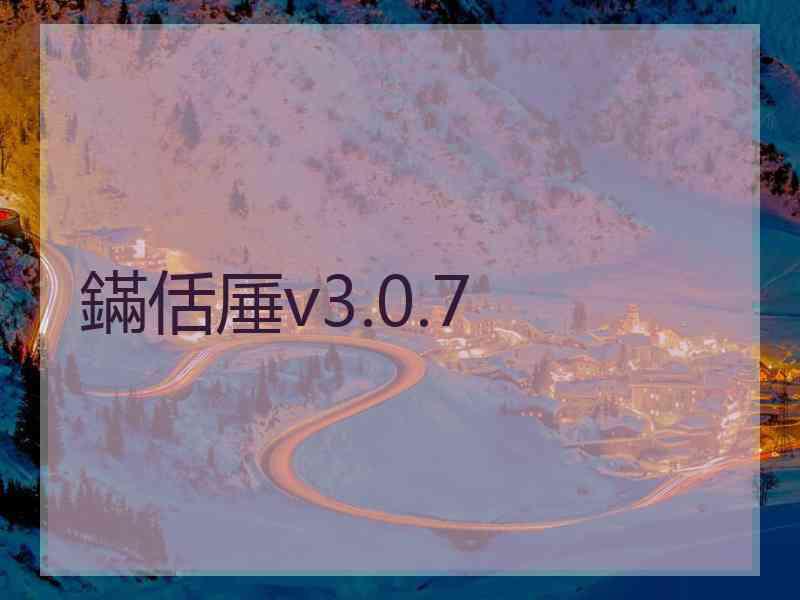 鏋佸厜v3.0.7