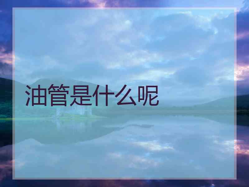 油管是什么呢