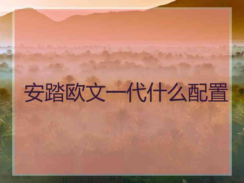 安踏欧文一代什么配置