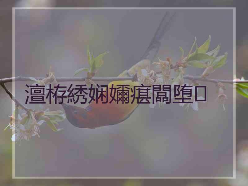 澶栫綉娴嬭瘎闆堕