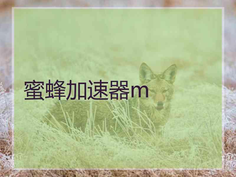 蜜蜂加速器m