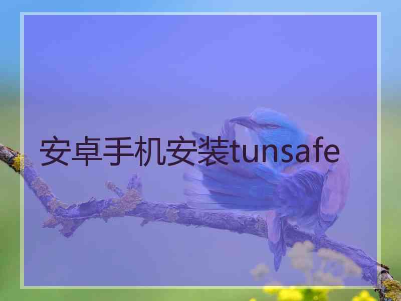 安卓手机安装tunsafe