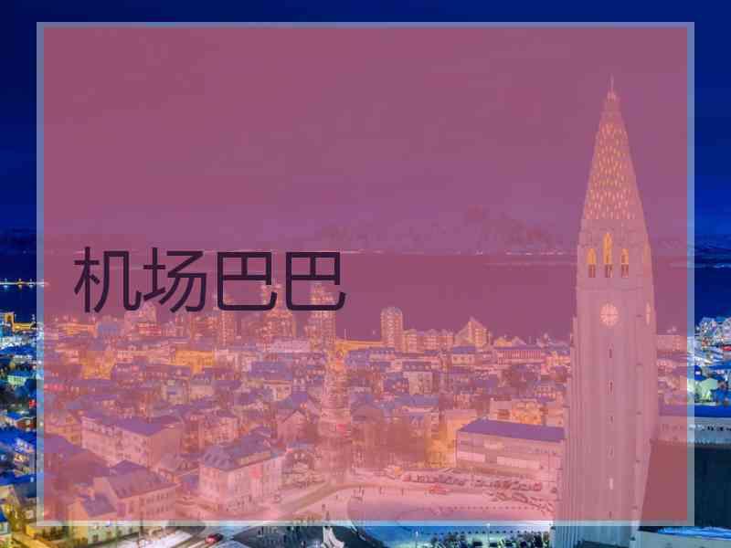 机场巴巴