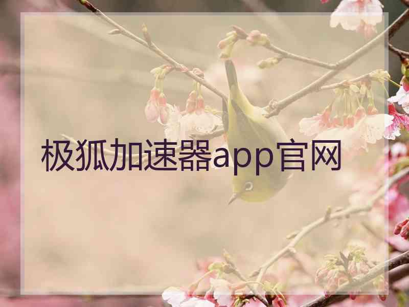 极狐加速器app官网