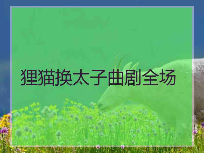 狸猫换太子曲剧全场