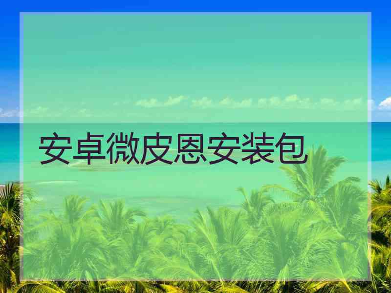 安卓微皮恩安装包