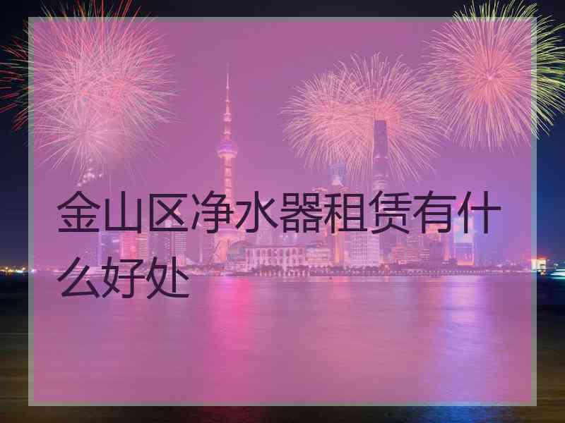 金山区净水器租赁有什么好处