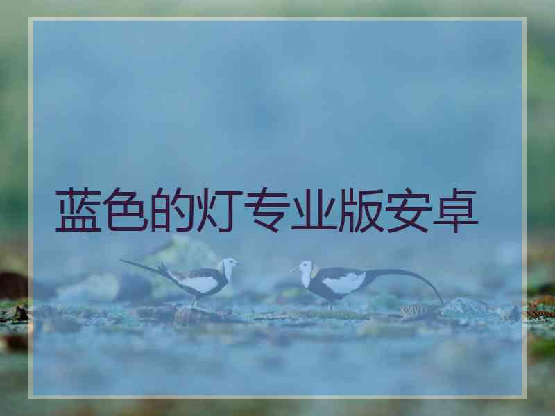 蓝色的灯专业版安卓