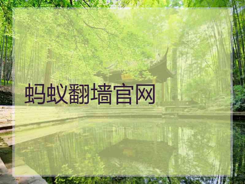 蚂蚁翻墙官网