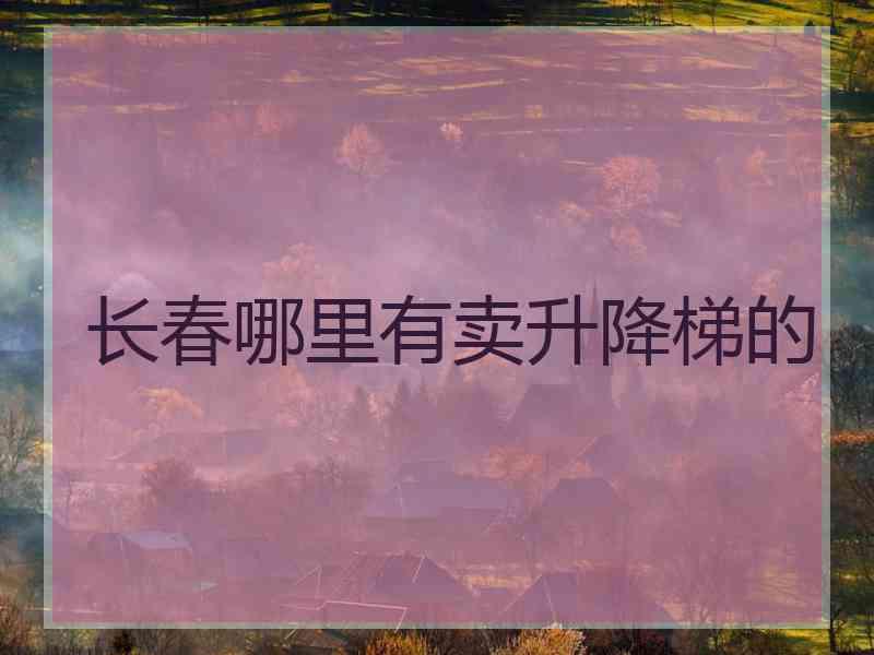 长春哪里有卖升降梯的