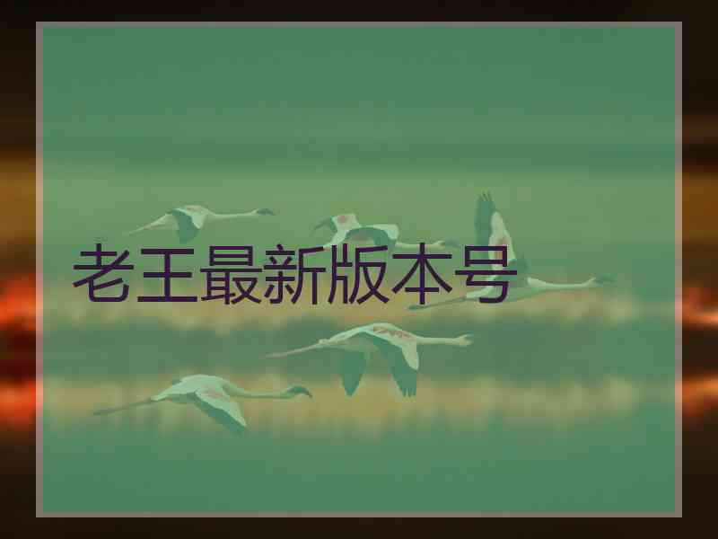 老王最新版本号