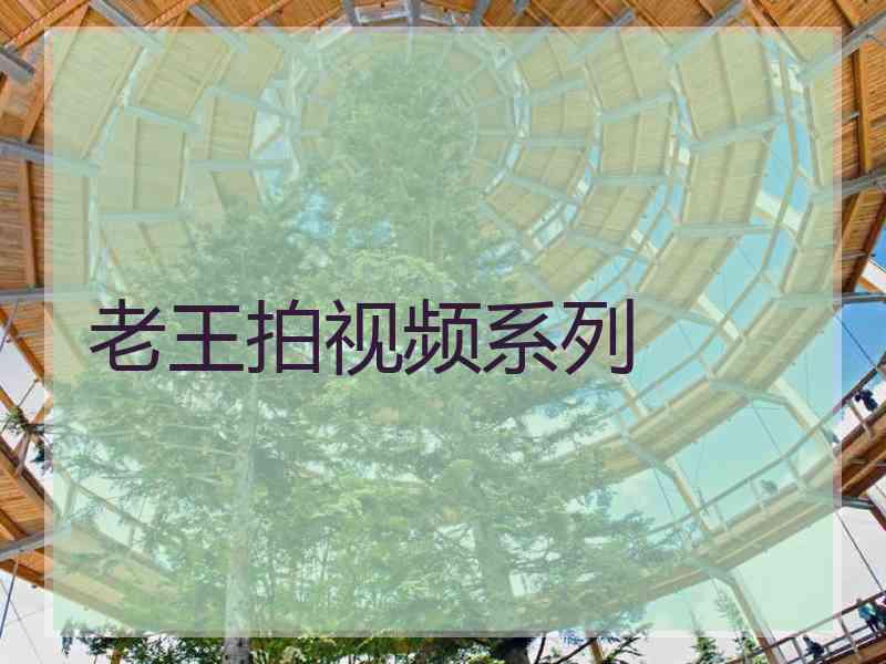 老王拍视频系列