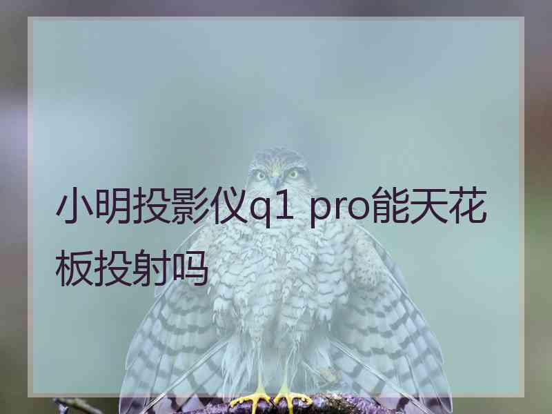 小明投影仪q1 pro能天花板投射吗