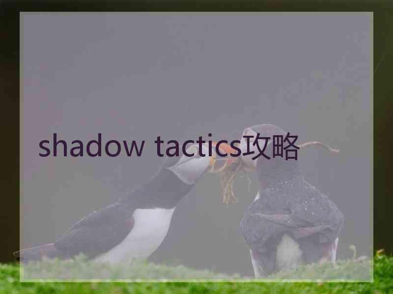 shadow tactics攻略