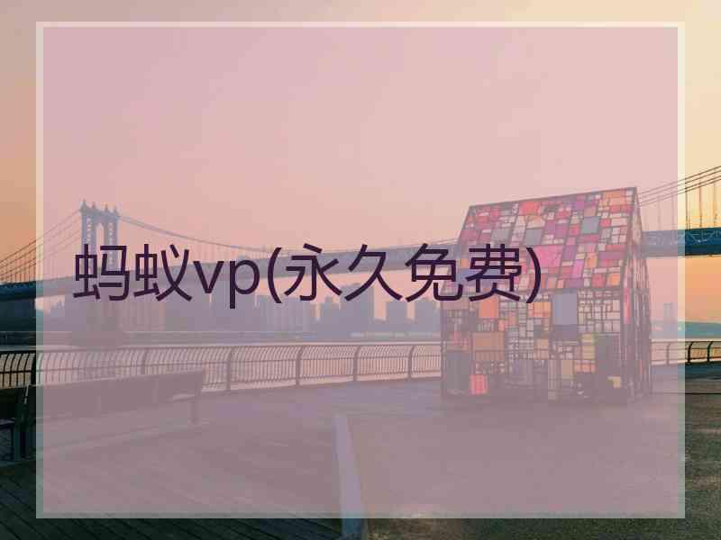 蚂蚁vp(永久免费)