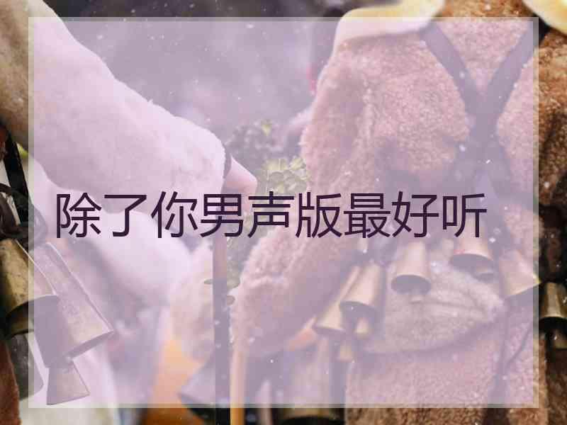 除了你男声版最好听