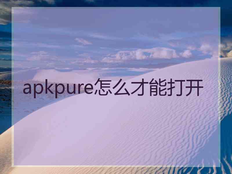 apkpure怎么才能打开