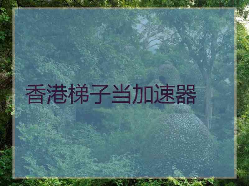 香港梯子当加速器