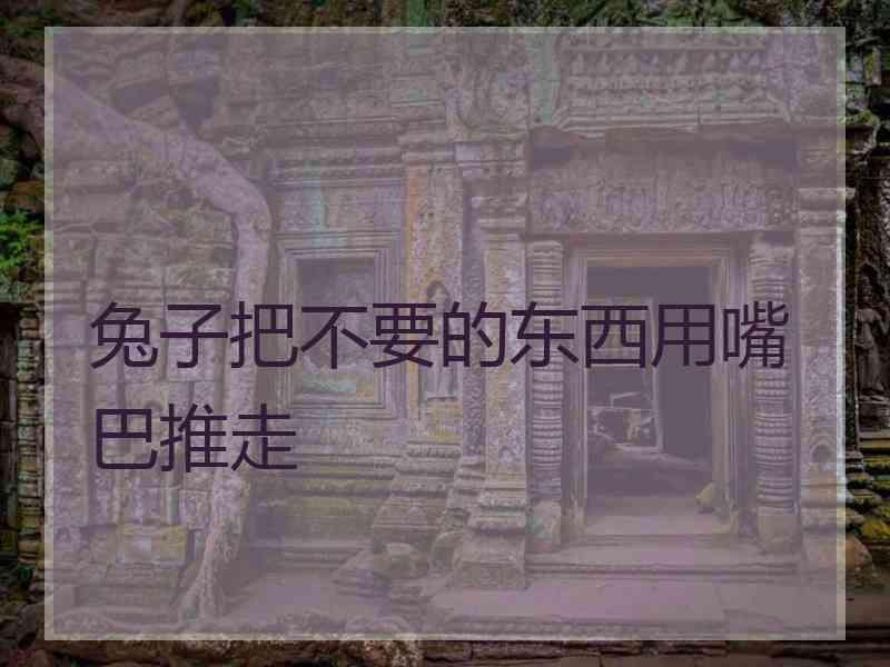 兔子把不要的东西用嘴巴推走