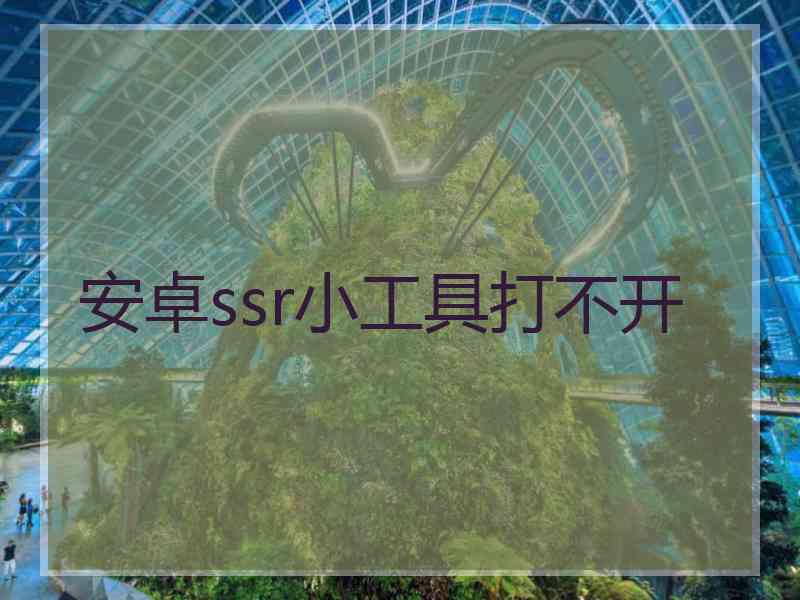 安卓ssr小工具打不开