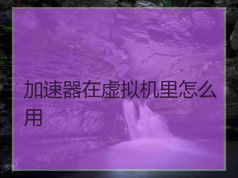 加速器在虚拟机里怎么用