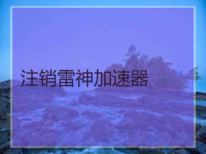 注销雷神加速器