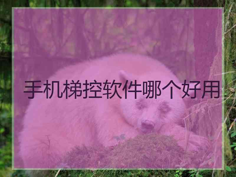 手机梯控软件哪个好用