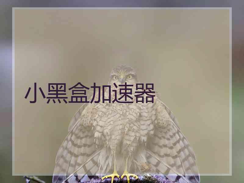 小黑盒加速器