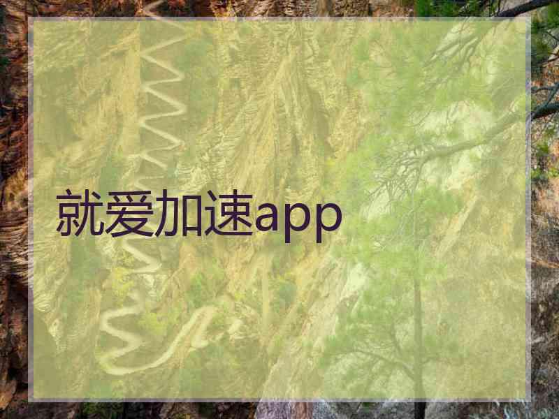 就爱加速app