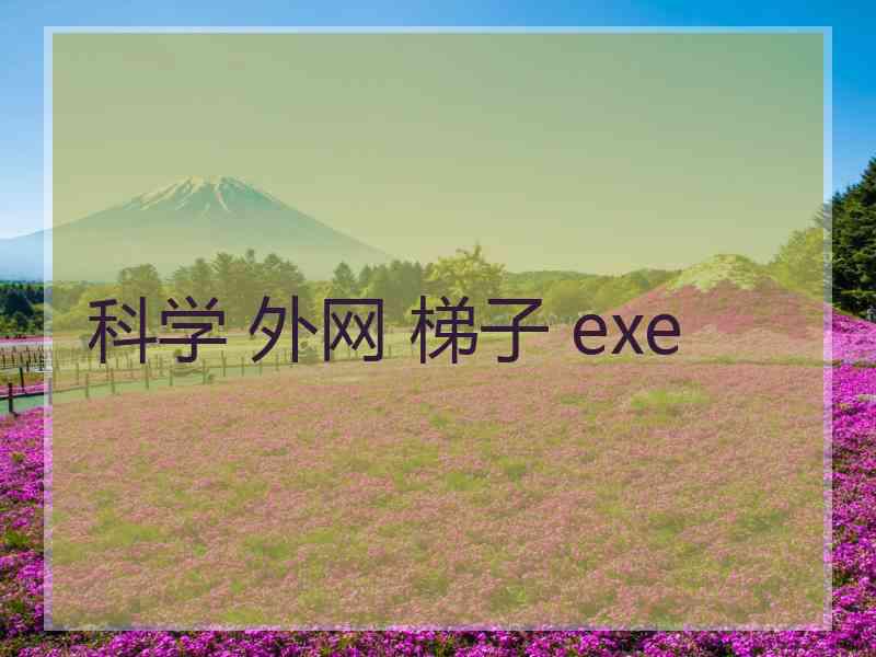 科学 外网 梯子 exe