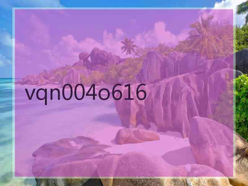 vqn004o616