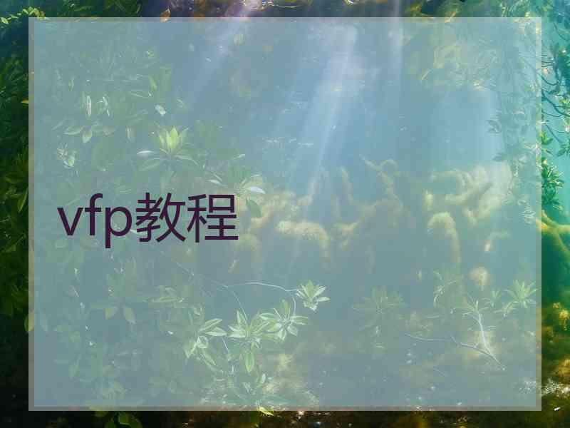 vfp教程