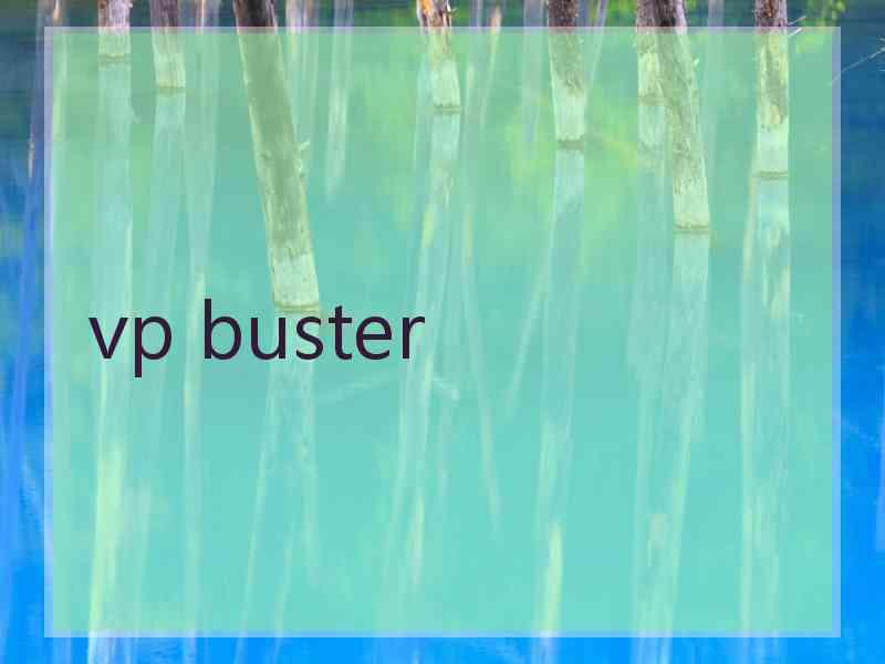 vp buster