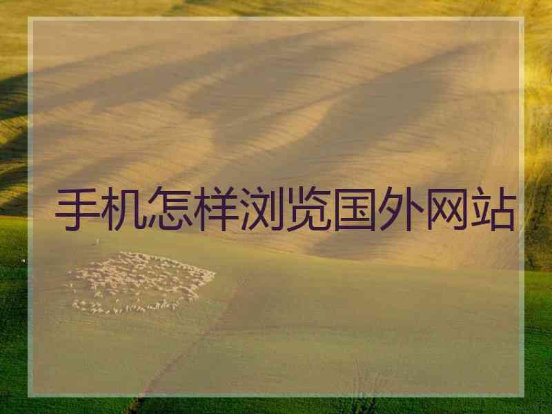 手机怎样浏览国外网站