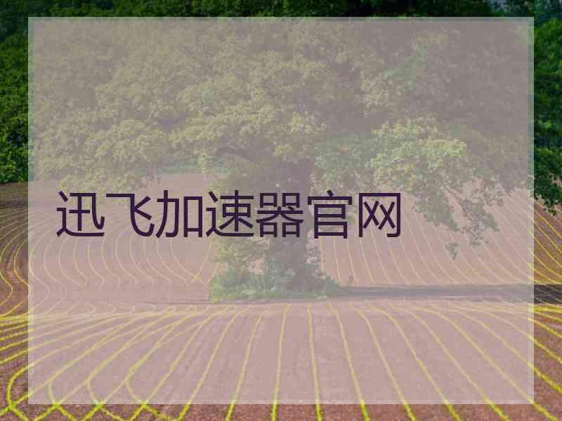 迅飞加速器官网
