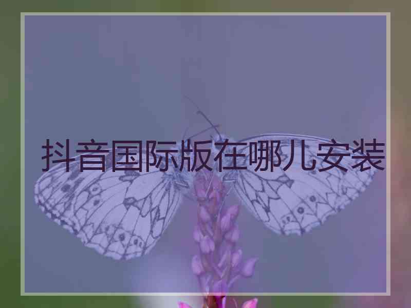 抖音国际版在哪儿安装