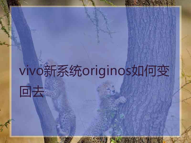 vivo新系统originos如何变回去