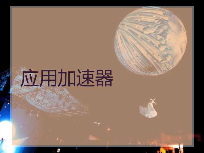 应用加速器