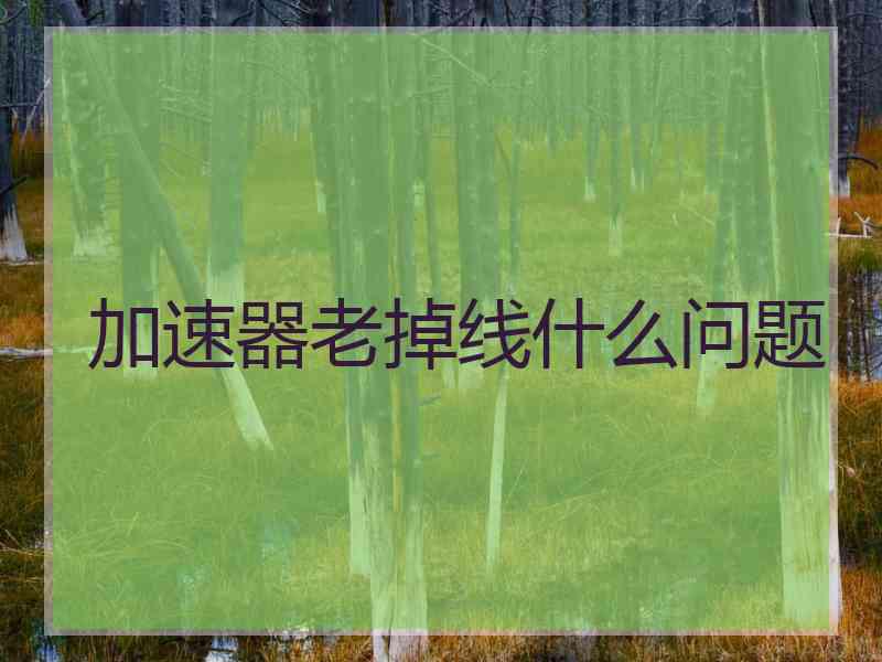 加速器老掉线什么问题