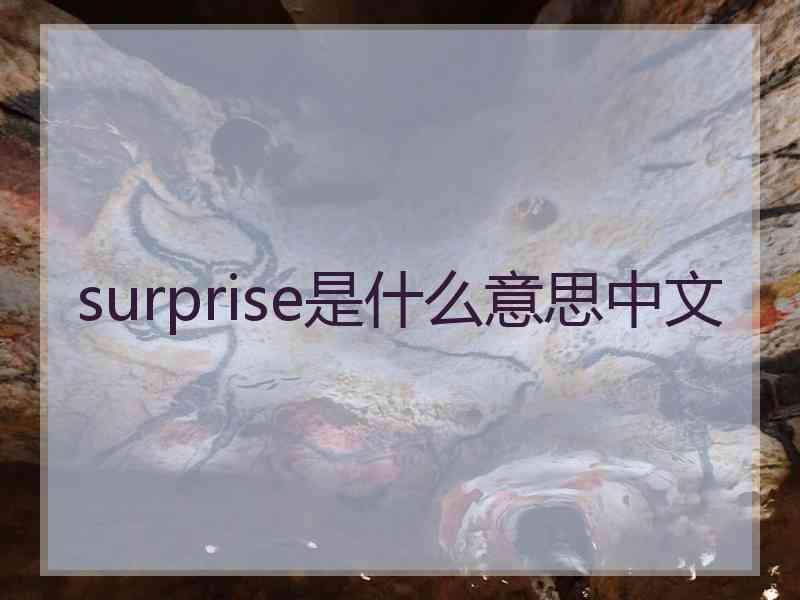 surprise是什么意思中文